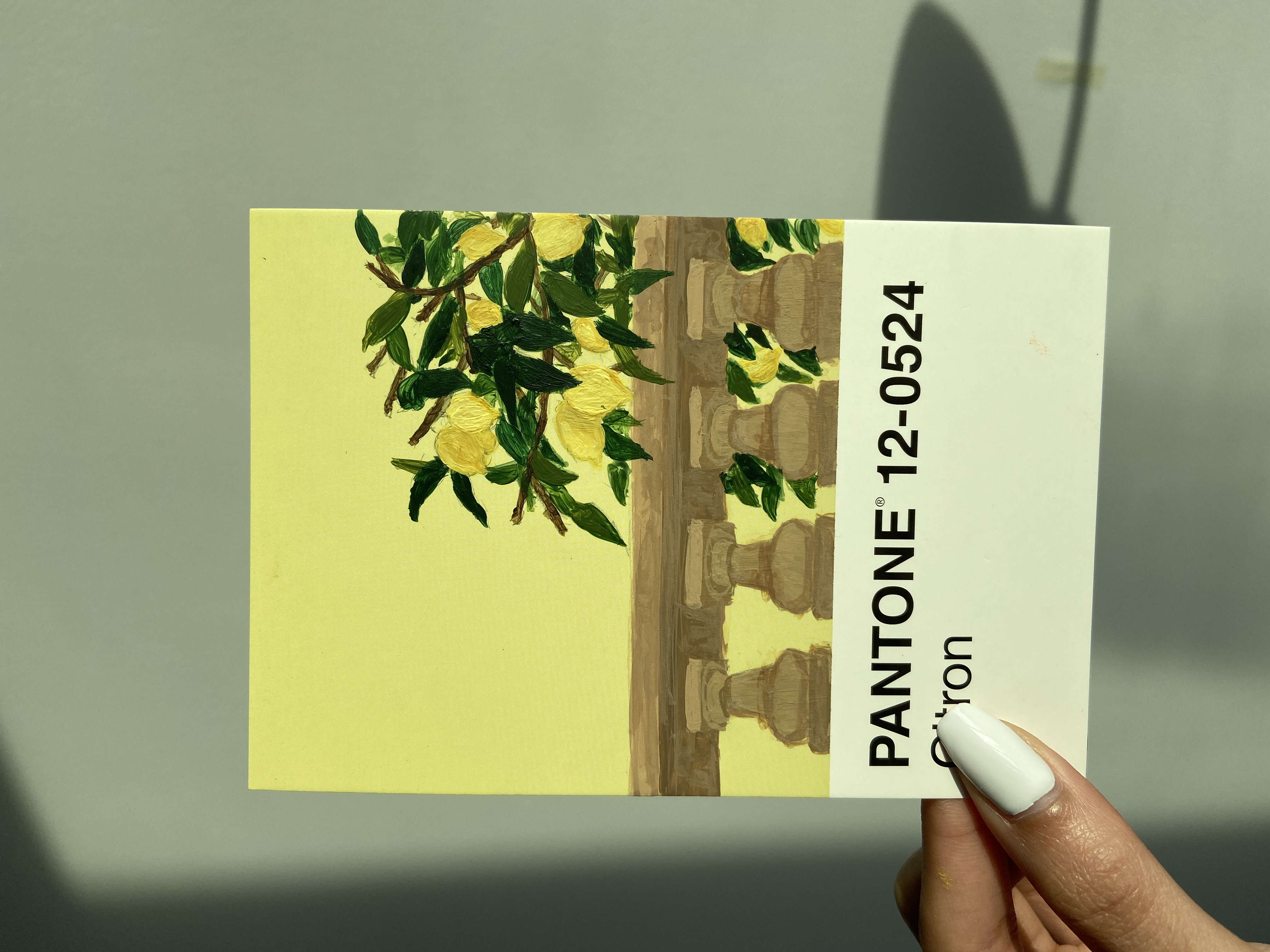 pantone 12-0524.JPG